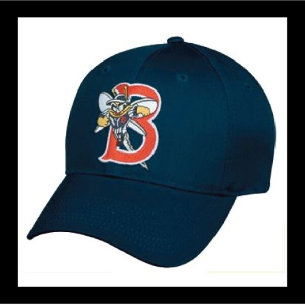 Binghamton Mets Thumbnail
